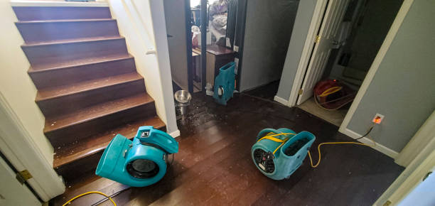Best Water damage restoration near me  in Orwell, OH
