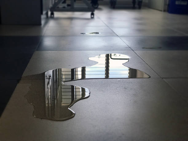 Best Professional water damage repair  in Orwell, OH